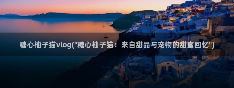 糖心vlgo神探狸狸