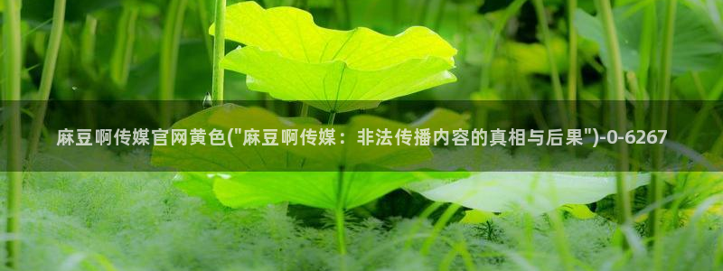 麻豆 完整版高清：麻豆啊传媒官网黄色(\