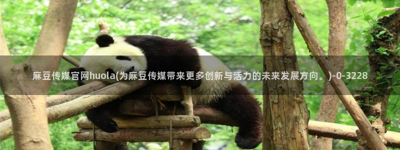 麻豆视频官方资源：麻豆传媒官网huola(为麻豆传媒带来更多创新与活力的未来发展方向。)