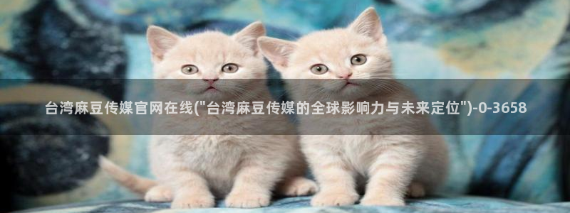 麻豆视频 系列专区：台湾麻豆传媒官网在线(\