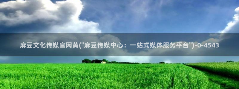 麻豆视频 专区高清：麻豆文化传媒官网黄(\
