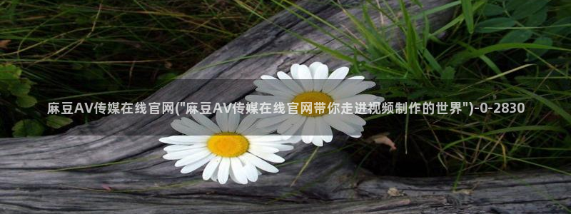 麻豆资源导航：麻豆AV传媒在线官网(\