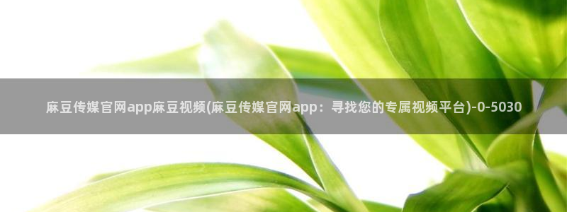麻豆视频推荐专区：麻豆传媒官网app麻豆视频(麻