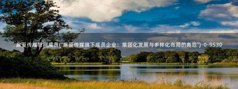 麻豆视频在线观看：麻豆传媒官网成员(\