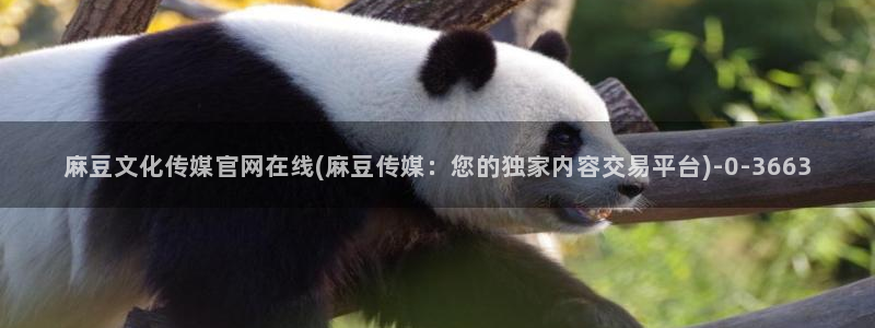 麻豆视频 在线看合集：麻豆文化传媒官网在线(麻豆传媒：您的独家内容交易平台)