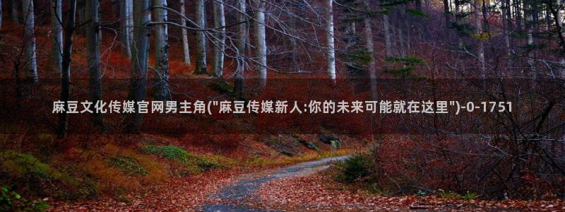 麻豆视频系列在线看