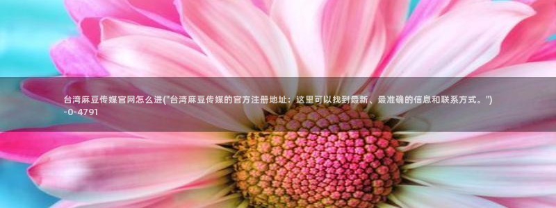 麻豆视频 合集导航