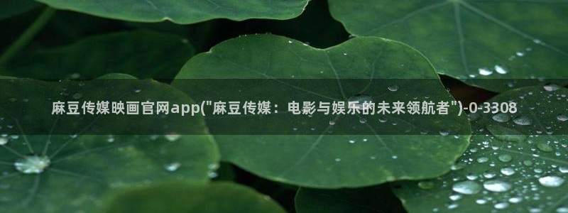 麻豆视频合集页面