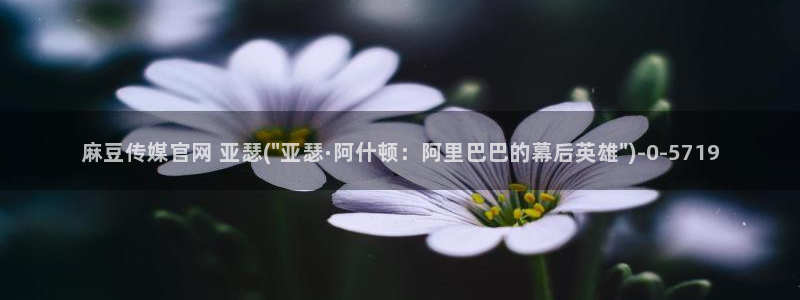 麻豆入口推荐：麻豆传媒官网 亚瑟(\