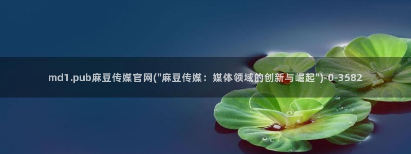 麻豆视频 热门专区