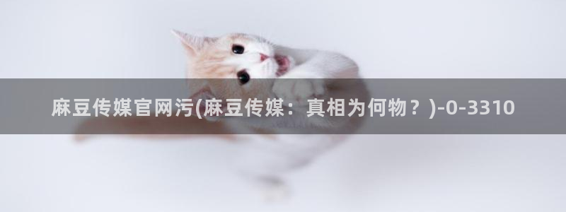 麻豆视频 图集最新