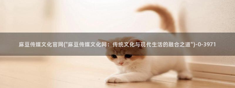 麻豆视频官方高清：麻豆传媒文化官网(\