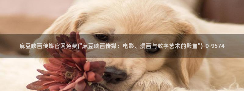 麻豆视频入口下载：麻豆映画传媒官网免费(\