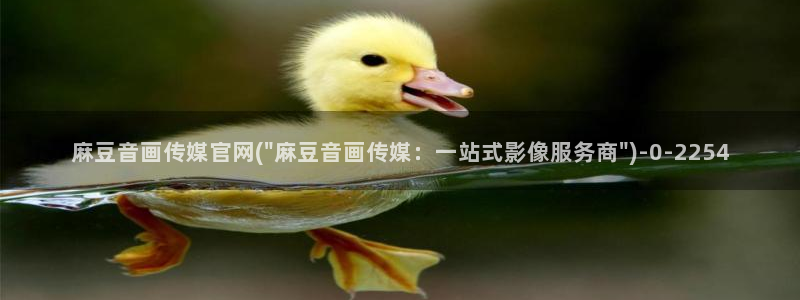 麻豆视频 下载整理