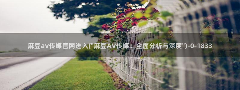 麻豆视频资源在线看：麻豆av传媒官网进入(\