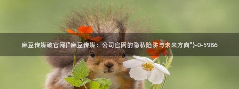 麻豆视频官方