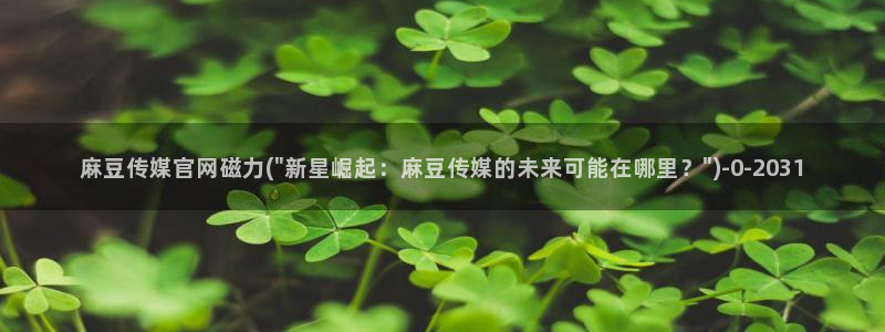 麻豆视频高清在线看