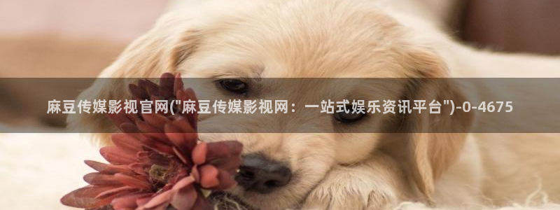 麻豆视频站页面：麻豆传媒影视官网(\