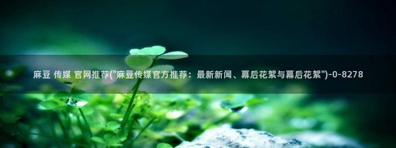 麻豆视频 入口：麻豆 传媒 官网推荐(\