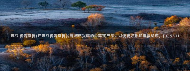 麻豆整理