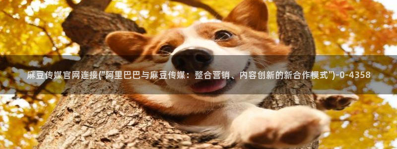 麻豆视频入口推荐